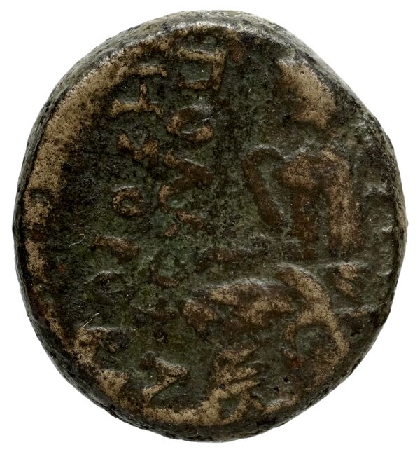 Tauromenium Puglisi 2009 373, реверс, bnf-iris