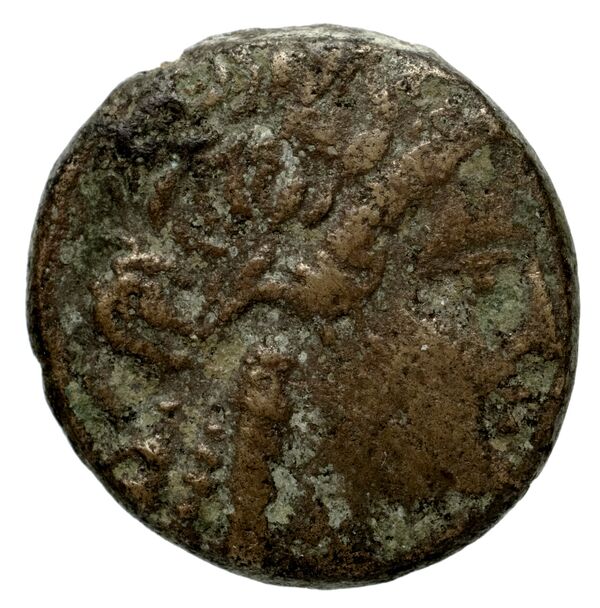 Tauromenium Puglisi 2009 373, аверс, bnf-iris