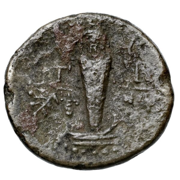 Mytilene BMC Mytilene 131-8, реверс, bnf-iris