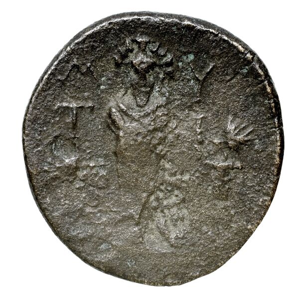 Mytilene BMC Mytilene 131-8, реверс, bnf-iris