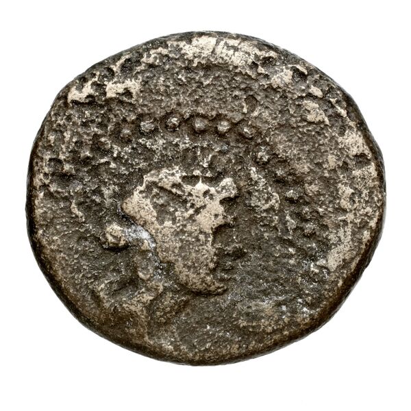 аверс Cumae Historia Numorum Italy 517