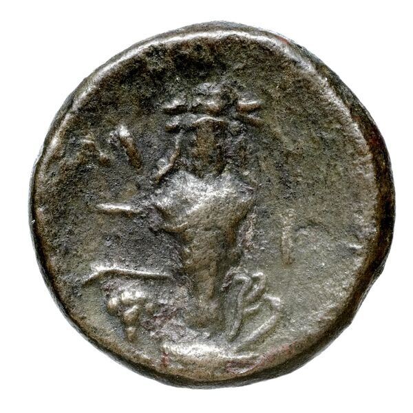 реверс Cumae Historia Numorum Italy 517