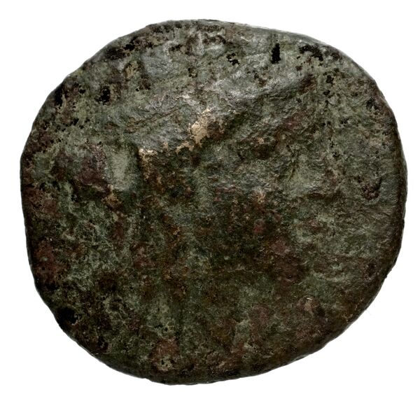 Carthaginian Empire Carthage Jenkins 1978 Carthage series 5, аверс, bnf-iris