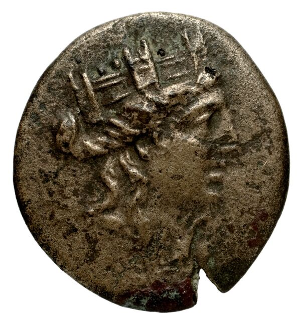 Carthaginian Empire Carthage Jenkins 1978 Carthage series 5, аверс, bnf-iris
