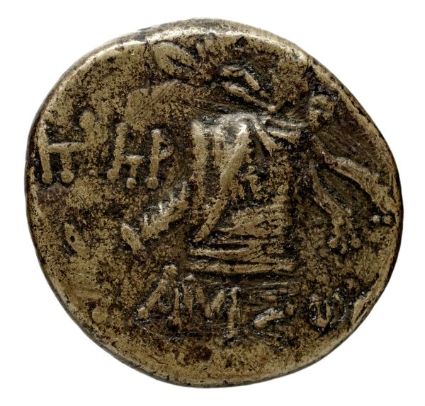 coin rev