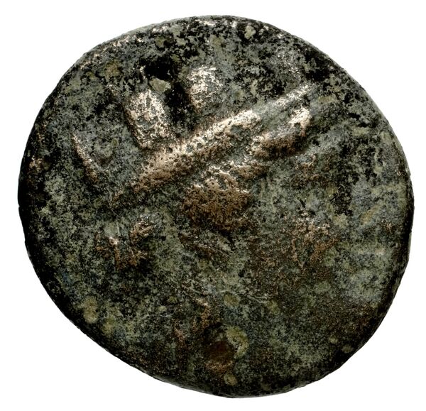 Carthaginian Empire Carthage Jenkins 1978 Carthage series 5, аверс, bnf-iris