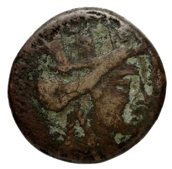 Carthaginian Empire Carthage Jenkins 1977 Carthage series 3, аверс, bnf-iris