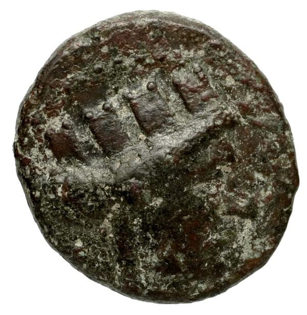 Carthaginian Empire Carthage Jenkins 1977 Carthage series 2, аверс, bnf-iris