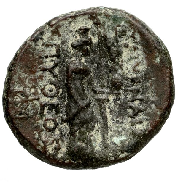 Carthaginian Empire Carthage Jenkins 1977 Carthage series 2, реверс, bnf-iris