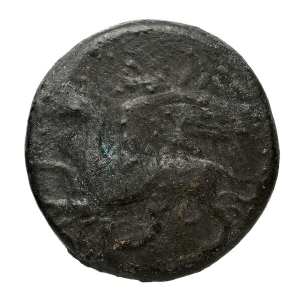 Chersonesus, Tauric Anokhin 2011 685-99, аверс, bnf-iris