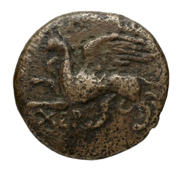 Chersonesus, Tauric Anokhin 2011 685-99, аверс, bnf-iris