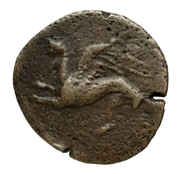 Chersonesus, Tauric Anokhin 2011 685-99, bnf-iris