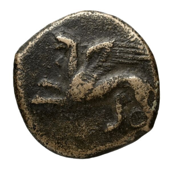 Chersonesus, Tauric Anokhin 2011 685-99, аверс, bnf-iris