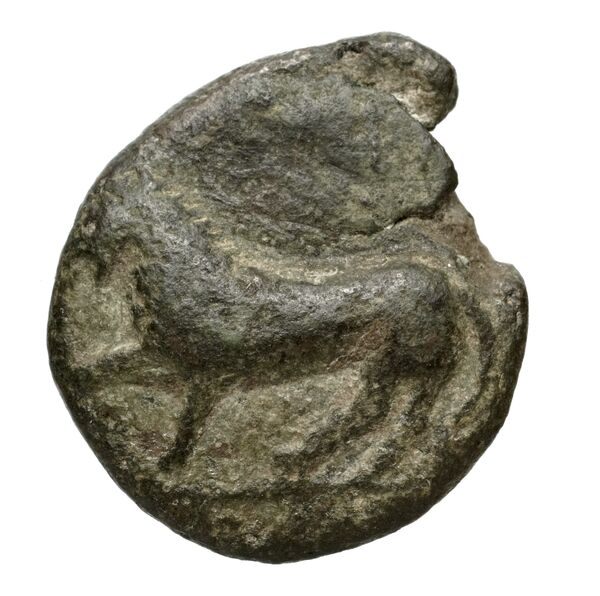 obverse Teate Historia Numorum Italy 699