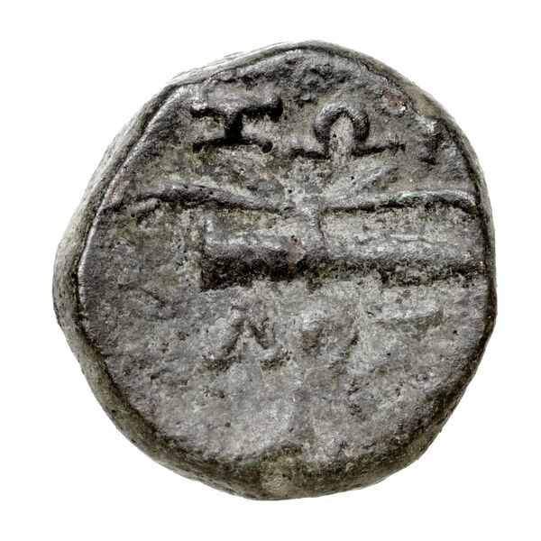 Cyme BMC Cyme 85, реверс, bnf-iris