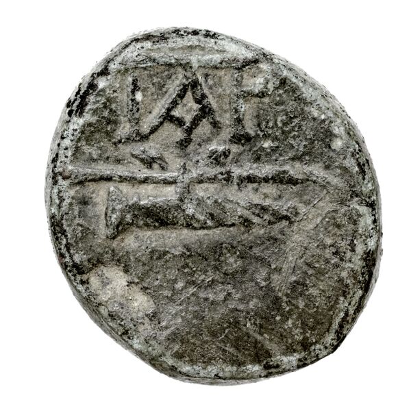 Cyme BMC Cyme 85, реверс, bnf-iris