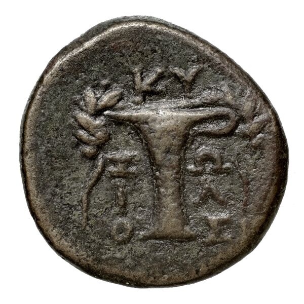 Cyme BMC Cyme 87, реверс, bnf-iris