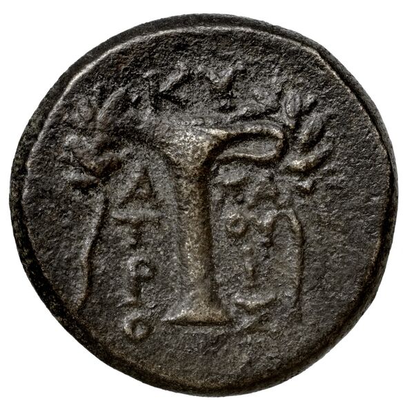 Cyme BMC Cyme 87, реверс, bnf-iris