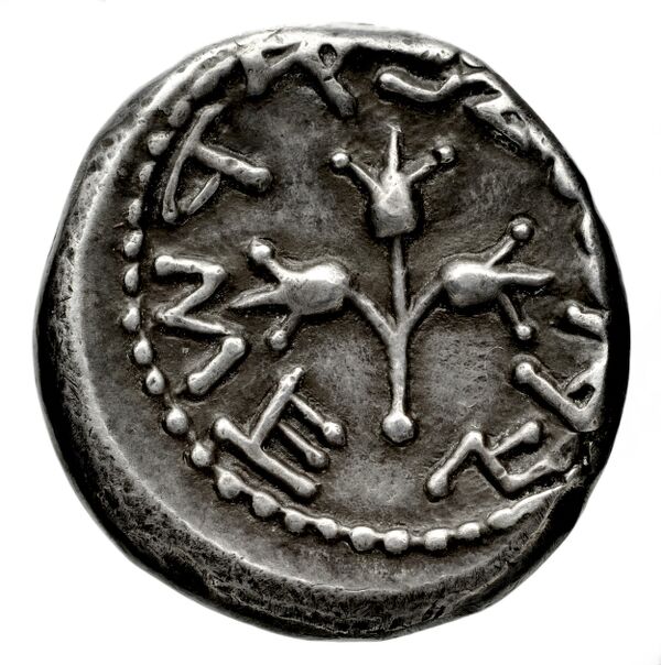 Uncertain Carian mint B Konuk 2007 M33-6, реверс, bnf-iris