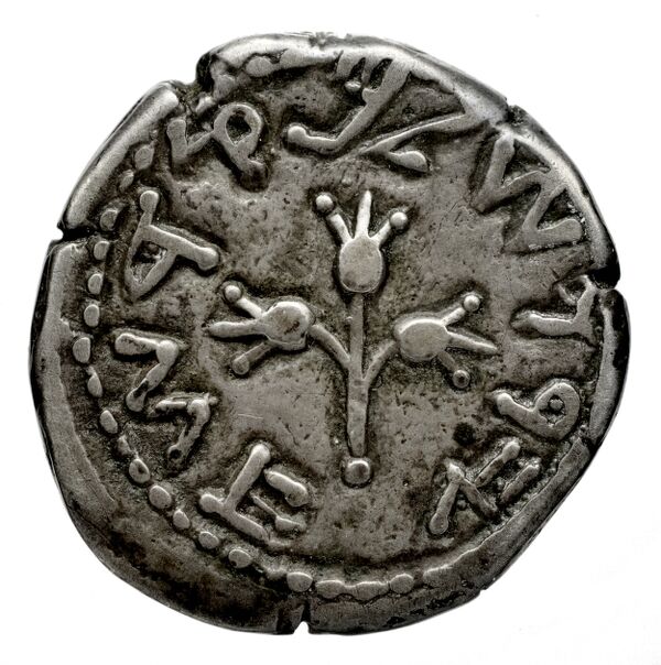 Uncertain Carian mint B Konuk 2007 M33-6, реверс, bnf-iris