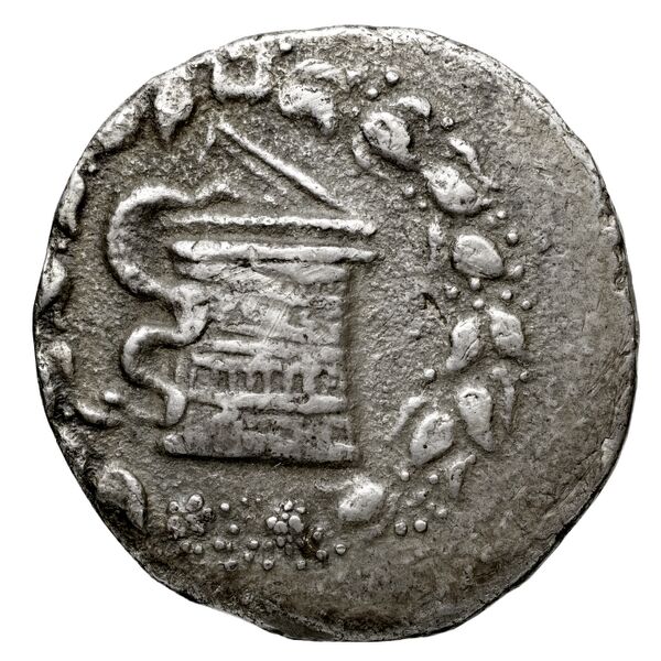 Ephesus Kleiner and Noe 1977 13, аверс, bnf-iris