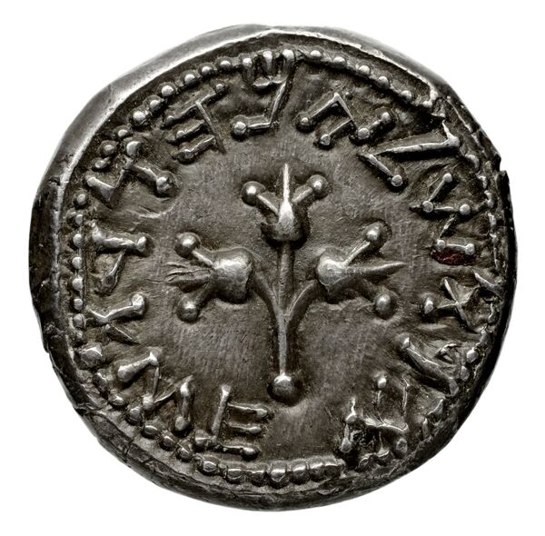 Perge Colin 1996 1.4.2, reverse, bnf-iris