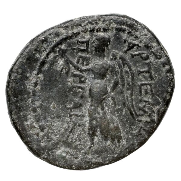 Perge Colin 1996 9.1, реверс, bnf-iris