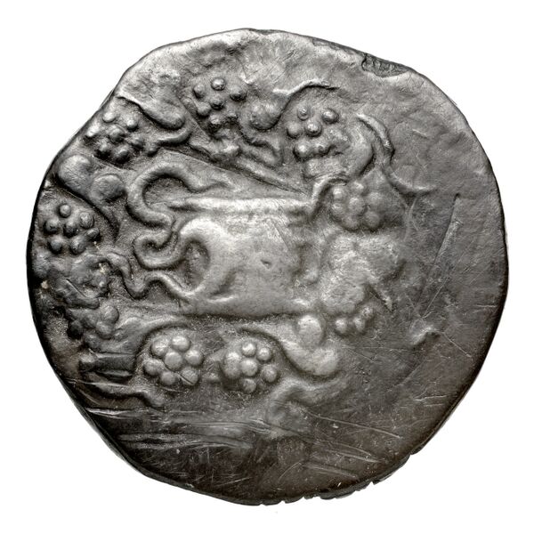 C. Pulcher Ap. f., governor of Asia Ephesus Metcalf 2017 XVII, аверс, bnf-iris