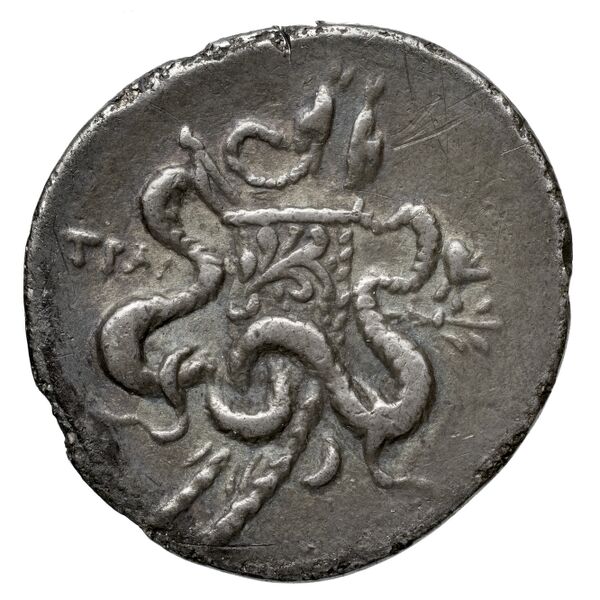 Tralles Kleiner and Noe 1977 4, реверс, bnf-iris