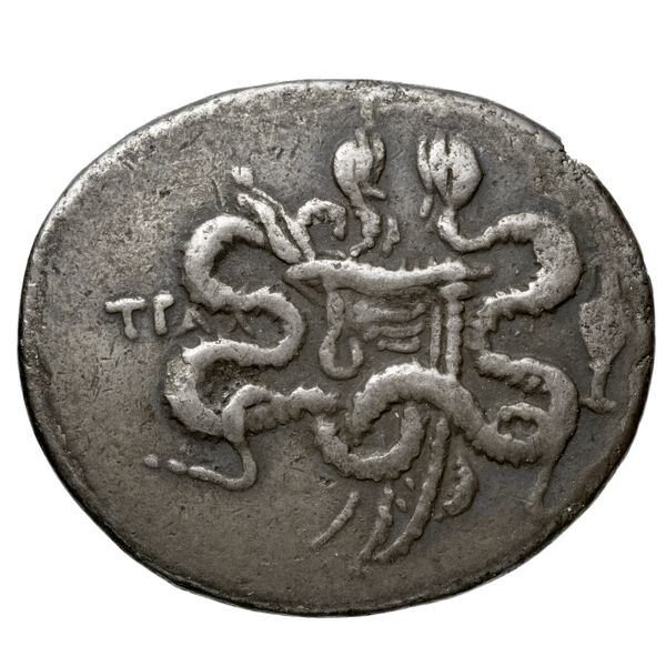 Tralles Kleiner and Noe 1977 22, реверс, bnf-iris
