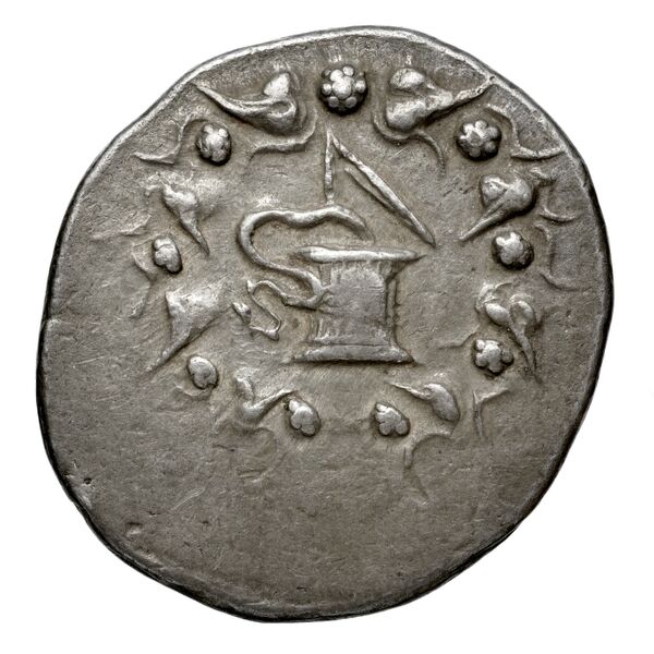 аверс Tralles Carbone 2020 XX, tetradrachms