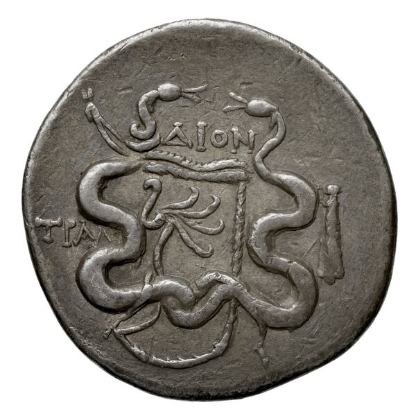 реверс Tralles Carbone 2020 XV, tetradrachms