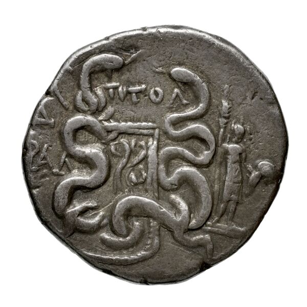 реверс Tralles Carbone 2020 XXXV, tetradrachms