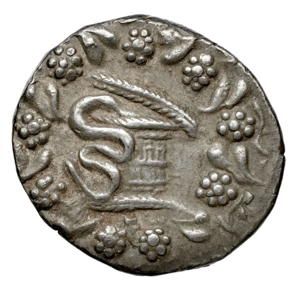 Tralles Carbone 2020 XXXV, tetradrachms, аверс, bnf-iris
