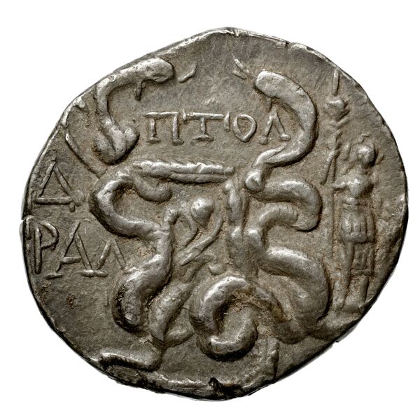 Tralles Carbone 2020 XXXV, tetradrachms, реверс, bnf-iris