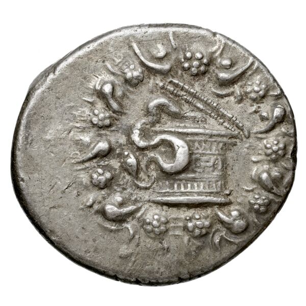 Tralles Carbone 2020 XXXII, tetradrachms, аверс, bnf-iris