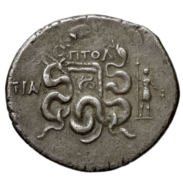 Tralles Carbone 2020 XXXII, tetradrachms, реверс, bnf-iris