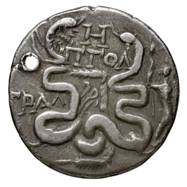 реверс Tralles Carbone 2020 XXXIX, tetradrachms