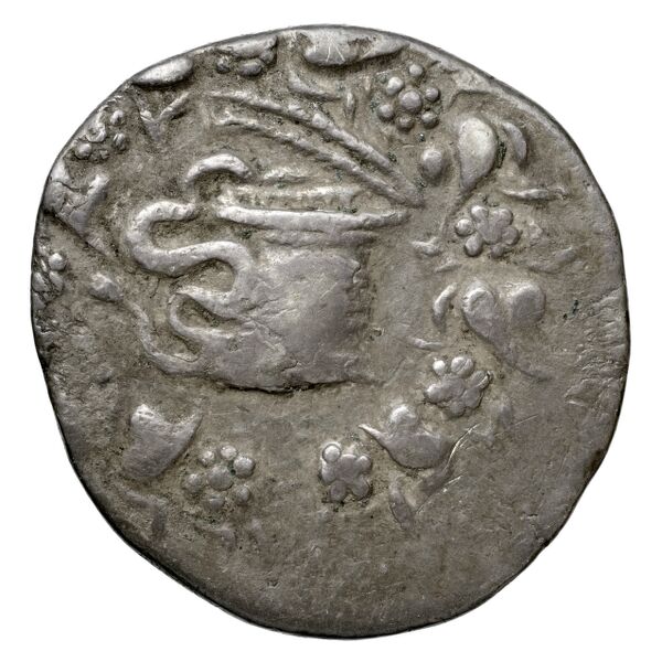 Tralles Carbone 2020 XLI, tetradrachms, аверс, bnf-iris