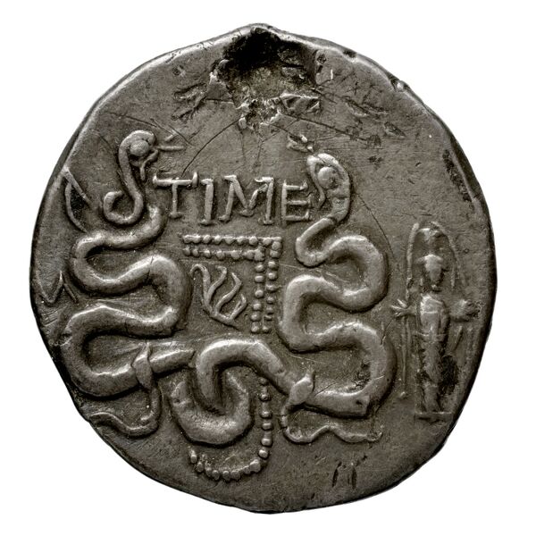 Tralles Carbone 2020 XLI, tetradrachms, реверс, bnf-iris