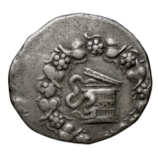 Apamea in Phrygia Kleiner 1979 XVI, аверс, bnf-iris