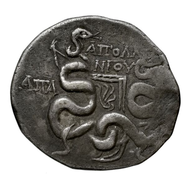 Apamea in Phrygia Kleiner 1979 XVI, реверс, bnf-iris