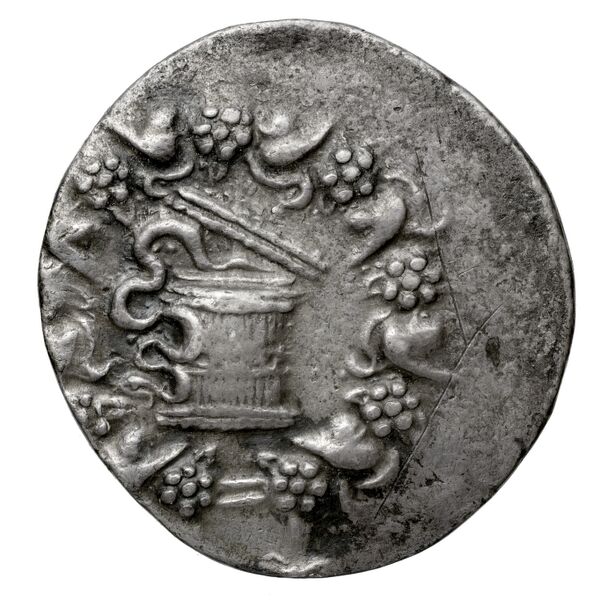 P. Lentulus P.f., governor of Cilicia Apamea in Phrygia Metcalf 2017 VI, аверс, bnf-iris