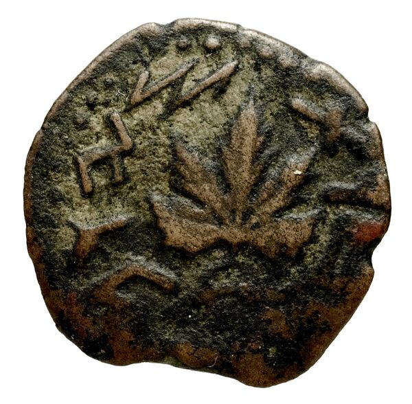 coin rev
