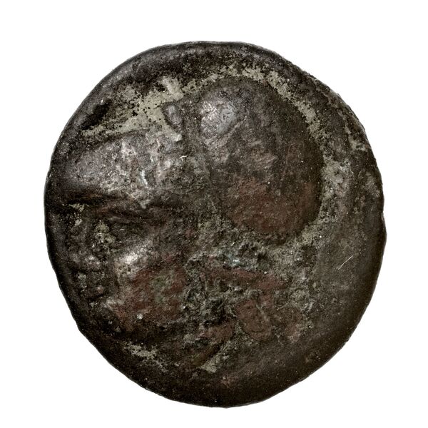 Phaselis Heipp-Tamer 1993 10.2, аверс, bnf-iris