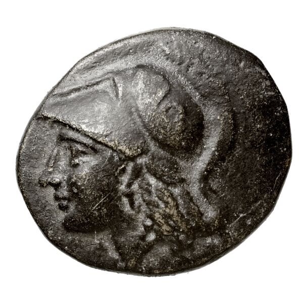 Phaselis Heipp-Tamer 1993 10.2, аверс, bnf-iris