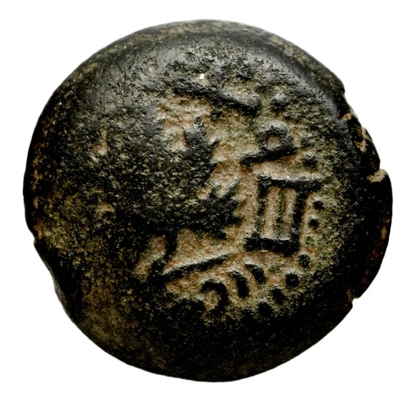 Phaselis Heipp-Tamer 1993 10.2, реверс, bnf-iris