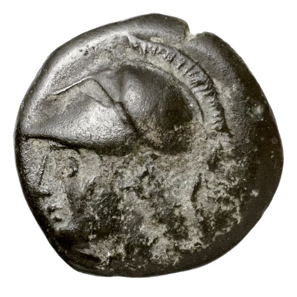 Phaselis Heipp-Tamer 1993 10.2, аверс, bnf-iris