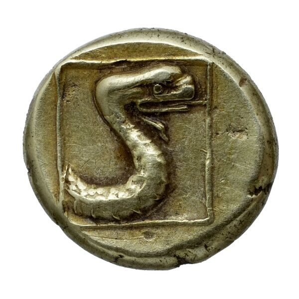Phaselis Heipp-Tamer 1993 10.2, реверс, bnf-iris