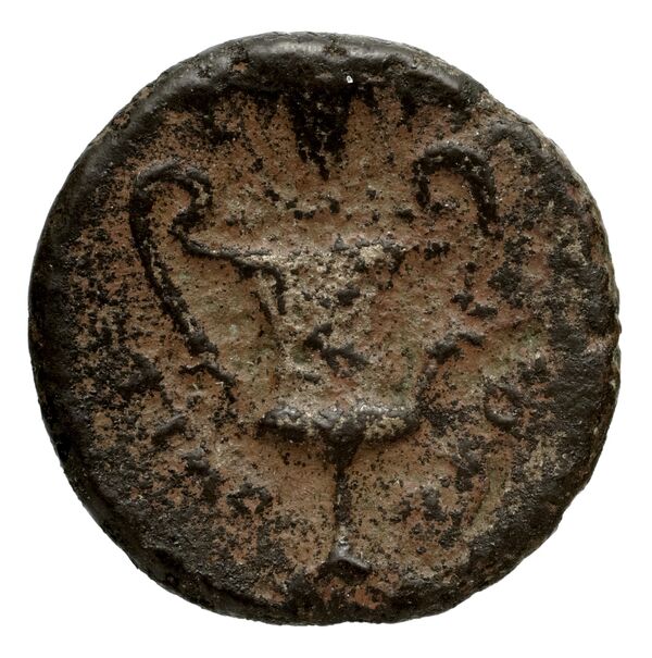 Teos Kinns 1980 Period I.2, AE 6, реверс, bnf-iris